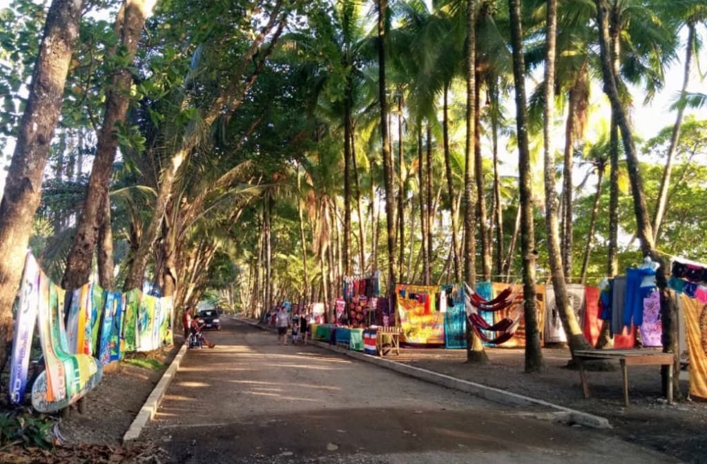 Vibrant beachside walkway shaded by soaring palm trees.